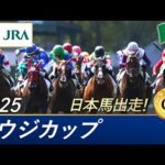 2025年 サウジカップ(G1) | 第6回 | JRA公式