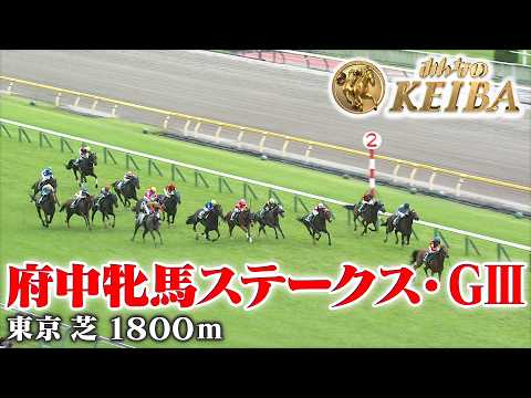 【府中牝馬ステークス・GⅢ】府中牝馬S 東京 芝 1800m 2026 レース  【みんなのKEIBA】