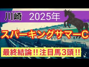 【スパーキングサマーカップ2025】蓮の地方競馬予想(最終結論)