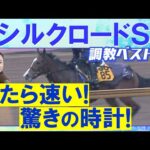 【伏兵がランクイン！】ロードフォアエース、ヤブサメ、エーティーマクフィ・・・競馬エイト・高橋賢司トラックマンの調教解説＜シルクロードステークス(ＧⅢ)＞