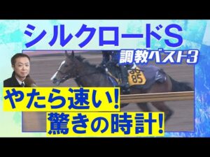 【伏兵がランクイン！】ロードフォアエース、ヤブサメ、エーティーマクフィ・・・競馬エイト・高橋賢司トラックマンの調教解説＜シルクロードステークス(ＧⅢ)＞
