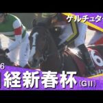 2026年日経新春杯(ＧⅡ) ゲルチュタール　実況：川島壮雄　【カンテレ公式】