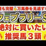 【フェブラリーS2026 予想】オメガギネス過去最高のデキ？プロが"全頭診断"から導く絶好の3頭！