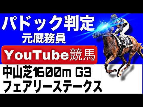 フェアリーステークス2026完全予想！今年の注目馬とパドックを徹底解説！