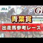【参考レース】2026年 青葉賞｜JRA公式