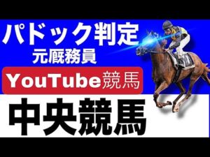 競馬ライブ 元厩務員が中央競馬の葵ステークスをリアルタイムでパドック判定!