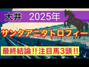 【サンタアニタトロフィー2025】蓮の地方競馬予想(最終結論)