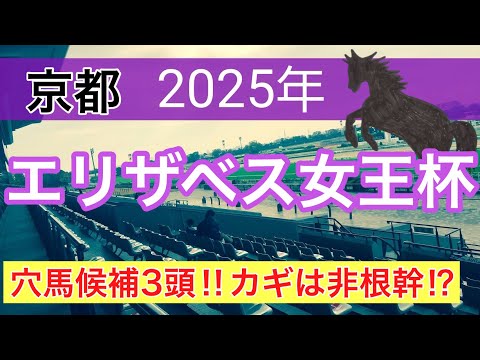 【エリザベス女王杯2025】蓮の競馬予想(穴馬3頭)