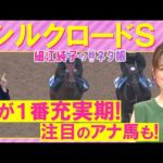 【６週連続注目馬激走中！】「弾ける追い切り！」ロードフォアエース、ヤブサメ、エーティーマクフィ・・・シルクロードステークス(ＧⅢ)を元ジョッキーの細江さんが徹底解説！＜細江純子のネタ帳＞