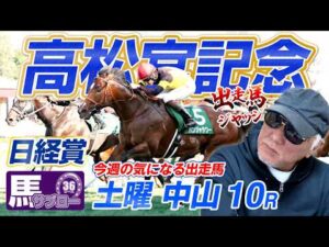 【2026 高松宮記念】出走馬ジャッジ