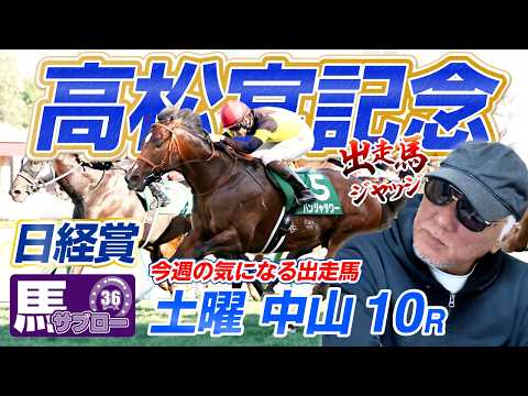 【2026 高松宮記念】出走馬ジャッジ