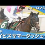 【衝撃のレコードＶ】2026年アイビスサマーダッシュ(ＧⅢ) ピューロマジック【カンテレ公式】