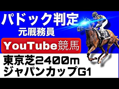 ジャパンカップ2025完全予想！今年の注目馬とパドックを徹底解説！