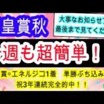 【競馬予想】天皇賞秋2025 菊花賞は自信の◎エネルジコが快勝! 的中したければこの動画をご覧ください!! マスカレードボールら徹底分析