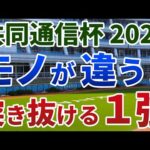 共同通信杯2025【絶対軸1頭】公開！全人気馬にまさかの黄信号！ポテンシャルで勝ち切る１強は？