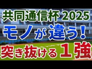 共同通信杯2025【絶対軸1頭】公開！全人気馬にまさかの黄信号！ポテンシャルで勝ち切る１強は？