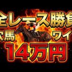 【全レース勝負】ワイド穴馬3頭ボックスで14万円勝負した結末…【競馬馬券勝負】
