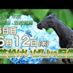 笠松けいばライブ配信R7.06.12