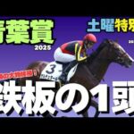 【土曜特別R競馬予想まとめ】エネルジコ、ファイアンより信頼度が高い隠れ穴馬とは?【青葉賞2025】