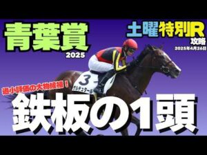 【土曜特別R競馬予想まとめ】エネルジコ、ファイアンより信頼度が高い隠れ穴馬とは？【青葉賞2025】
