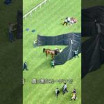 競走馬が怪我をしたらどうなる？