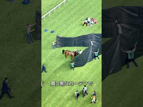 競走馬が怪我をしたらどうなる?