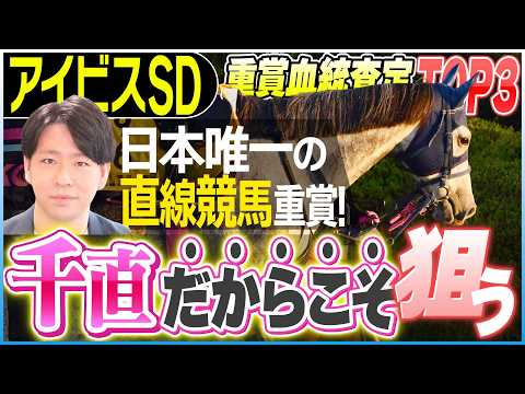 【アイビスSD2026】特殊な条件には“非主流”の血!!唯一の直線競馬重賞だからこそ狙える馬たちとは!?【坂上明大の重賞血統査定】《東スポ競馬》