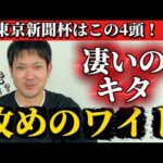 【競馬予想】東京新聞杯はこの4頭！！！！