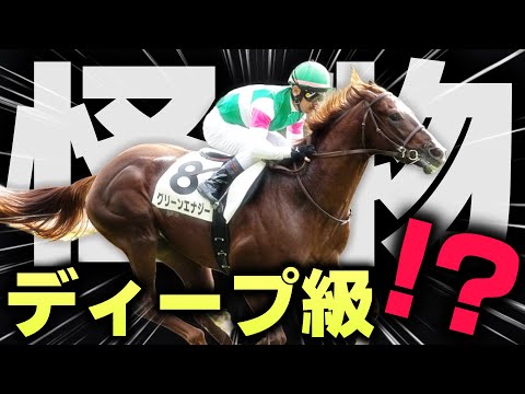 ディープインパクト級の超逸材？来年のダービー候補が現れた