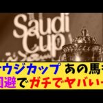 【競馬】「サウジカップ あの馬 回避でガチでヤバい…」に対する反応【反応集】