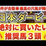 【日本ダービー2025 予想】ファンダム過去最高のデキ?プロが"全頭診断"から導く絶好の3頭!