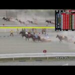 ばんえい十勝LIVE 2025年6月23日