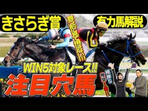 《東スポ競馬ニュース》【きさらぎ賞2026】好走データに唯一合致する馬！馬場適性が高そうな馬！キャリーオーバーを狙うならぜひ見て！競馬記者が徹底解説します