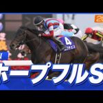 【レース映像】中山11R ホープフルS（GI）｜ロブチェン（松山弘平）｜ウイニング競馬