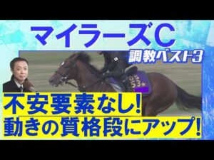 「併走馬を置き去り！」アドマイヤズーム、ウォーターリヒト、オフトレイル・・・競馬エイト・高橋賢司トラックマンの調教解説＜マイラーズカップ(ＧⅡ)＞