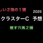 【競馬予想】 地方交流重賞 クラスターカップ 予想 2025