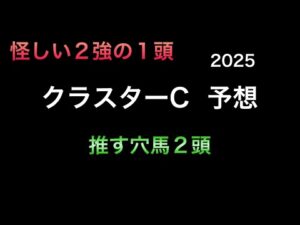 【競馬予想】　地方交流重賞　クラスターカップ　予想　2025
