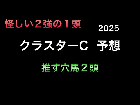 【競馬予想】 地方交流重賞 クラスターカップ 予想 2025