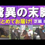 「恐るべき切れ味!」アーモンドアイ、アグネスデジタル、ジャスタウェイ、ソールオリエンス、ナミュール…驚異の末脚をまとめてお届け!芝編 #2
