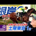 【根岸S】出走馬ジャッジ