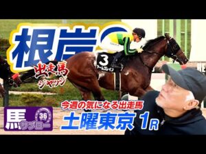 【根岸S】出走馬ジャッジ