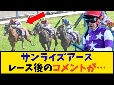 【競馬】「サンライズアース レース後のコメントが…」に対する反応【反応集】