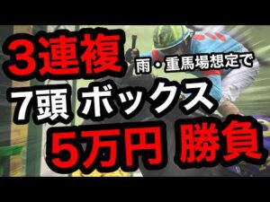 【地獄の京都競馬場】3連複7頭BOXで逆転狙い!合計5万円勝負の結末は!?【競馬馬券勝負】
