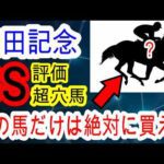 【競馬予想】安田記念2026　ダービー目黒記念W的中！！　上位人気馬は不安だらけなのでこの条件で激走する穴馬を教えます！！