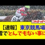 【速報】東京競馬場大雪でとんでもない事に…　【競馬】