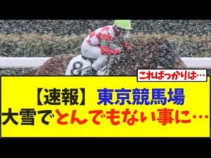 【速報】東京競馬場大雪でとんでもない事に…　【競馬】