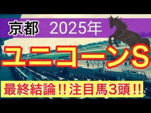 【ユニコーンステークス2025】蓮の競馬予想(最終結論)〜マイラーズカップの完璧的中に続け