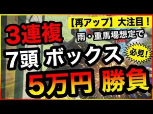 【地獄の京都競馬場】3連複7頭BOXで逆転狙い！合計5万円勝負の結末は!?【競馬馬券勝負】再アップ