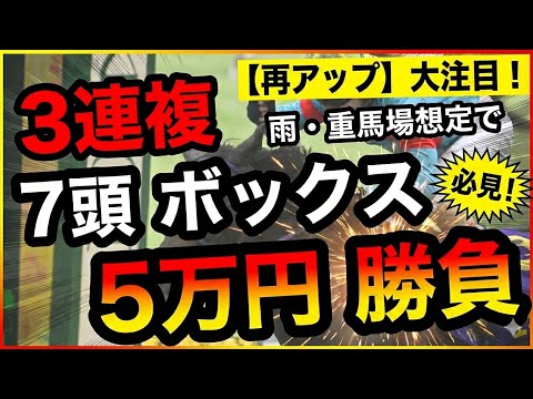 【地獄の京都競馬場】3連複7頭BOXで逆転狙い！合計5万円勝負の結末は!?【競馬馬券勝負】再アップ
