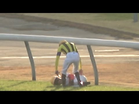 【現地】ジャパンカップゴール後、落馬した後に戸崎騎手の心配をしに行くルメール騎手